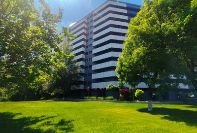 Apartament cu 2 camere decomandat, mobilat în Cotroceni - 20