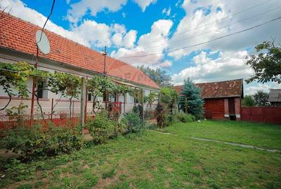 Casa cu 4 camere de vanzare  si teren 4063 mp, in Ineu, Bihor - 15