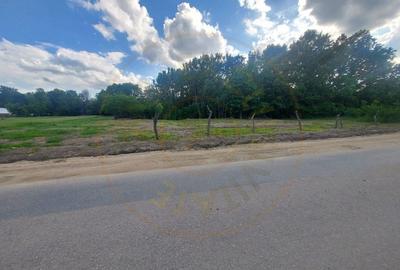 Teren Cerbu - Albota - cu PROIECT CASA si AVIZE - 7