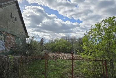 Casă cu 3 camere cu Teren 3863 Mp în Batiz - 4