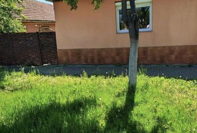 Casă cu 3 camere în Zădăreni - 4