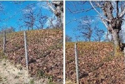 Teren cota parte 1/2, Sat Vistieru, ID: R2809860 - 5