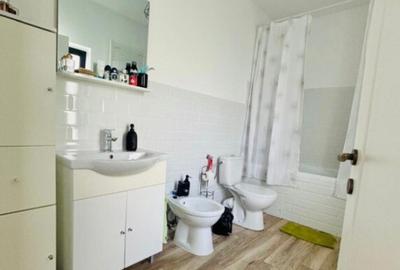 Satu Nou de Jos, casa noua, finisata - 3