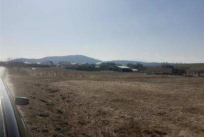 +900 mp in intravilan, cu plan urbanistic zonal aprobat si deschidere stradala - 1