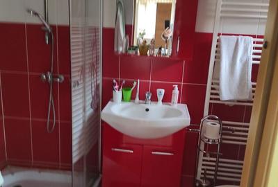 Casă cu 4 camere în Beba Veche