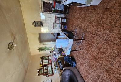 Vand casa 4 camere Pestisu Mare - 3