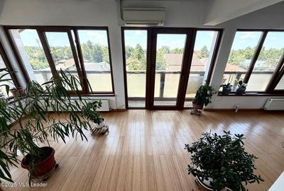 Casa Mogosoaia cu livada, crama si terasa - 15