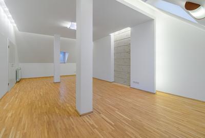 Vanzare Proprietate Rara cu Curte - zona Floreasca - 17