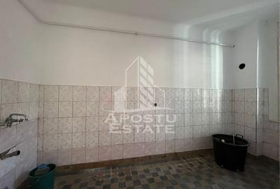 Casa individuala  7 camere, 3 bai, garaj, teren 1129 mp, zona Iosefin - 10