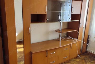 Apartament cu 2 camere în Vulcan - 10