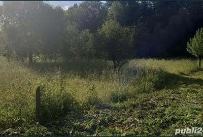 Teren de 2300 mp, în Stolna