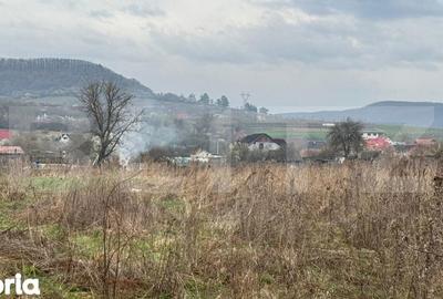 Teren de 9292 mp, în Cuzdrioara - 1