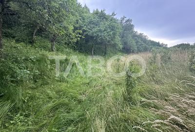 Casa 3 camere 5335 teren liber garaj si anexe  in Sinca Veche - 16