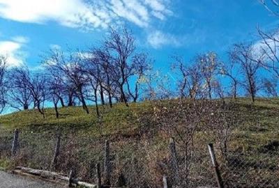 Teren de 2894 mp, în Vistieru