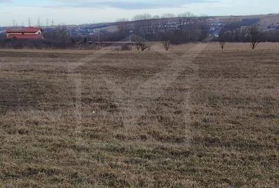 Teren Construcții intravilan de 8500 mp, în Jucu - 2