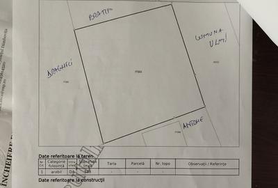 Spațiu comercial, în Colanu - 6