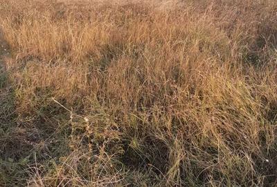 Spațiu comercial, în Central - 2