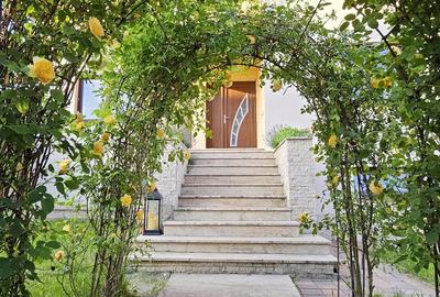 Proprietar inchiriez Casa SMART + Spa?iu Comercial Autorizat productie - 5