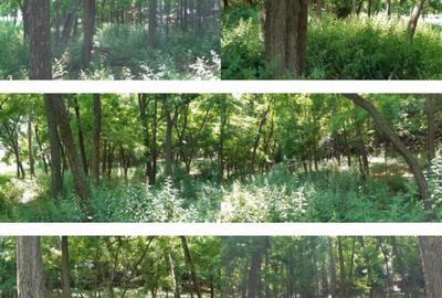 Teren de 800 mp, în Didești - 5