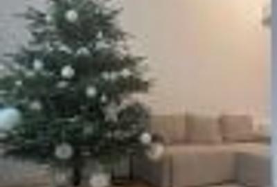 Apartament cu 2 camere semidecomandat în Bucureștii Noi - 12