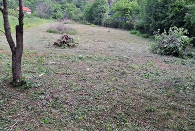 Spațiu comercial, în Bumbești-Jiu - 8