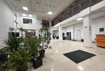 Spațiu comercial, de 330 mp, în Păcurari - 8