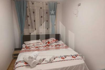 Apartament cu 2 camere decomandat, mobilat în Cetate - 4