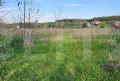 Teren 6650 mp, cu casa nefinalizata de 111 mp, in Nisipoasa - 2