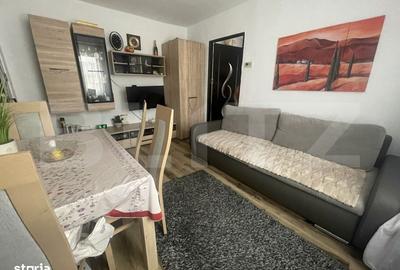 Apartament cu 2 camere semidecomandat în Stana - 2