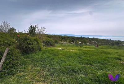 Teren Construcții intravilan de 550 mp, în Sibiel - 3