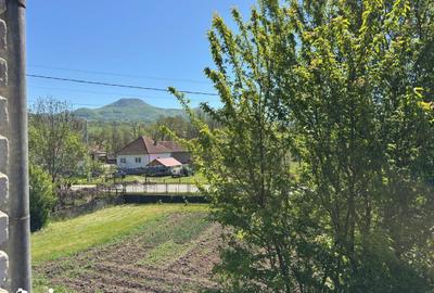Casă cu 4 camere cu Teren 7247 Mp în Băița - 9