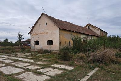 Casă individuală cu 3 camere cu Teren 2880 Mp în Zărand - 5