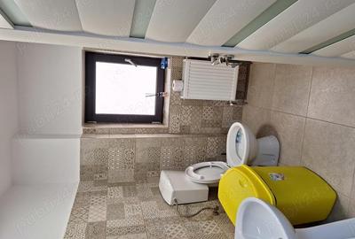 Afumati inchiriere spatiu hala - 3