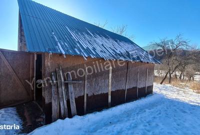 Casă cu 3 camere cu Teren 3877 Mp în Valea Danului - 4
