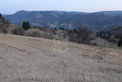 Teren Construcții intravilan de 750 mp, în Colibița - 6