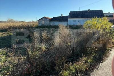 Casă cu 3 camere cu Teren 4900 Mp în Central - 6