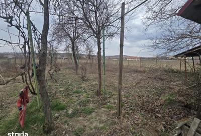 Casă cu 3 camere cu Teren 1000 Mp în Mihalț - 5