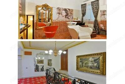 Spațiu comercial, în Romană - 2