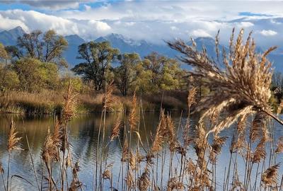 Ocazie!Oaza de liniste in satul Colun,cu 572mp ,la 40km de Sibiu Ocazie!Oaza de liniste in satul Colun,cu 572mp ,la 40km de Sibiu - 35