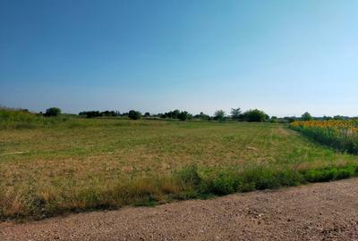 Teren intravilan 2,502mp Moara Vlasiei - 1