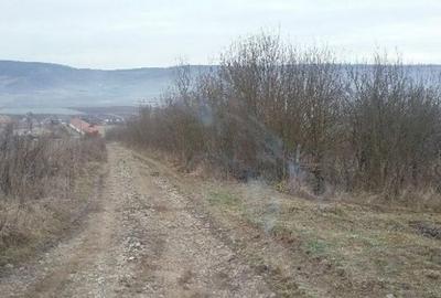 Teren de 5063 mp, în Lechința - 8