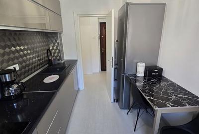 Apartament cu 2 camere semidecomandat în Brotăcei