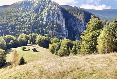 Spațiu comercial, în Dâmbovicioara - 4