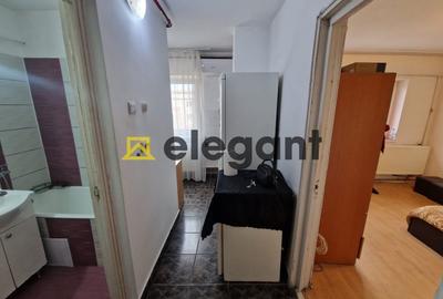 Garsoniera, spatioasa, AC, centrala, 1 Mai-Kaufland - 7