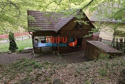 Casă cu 4 camere în Ighiel - 10