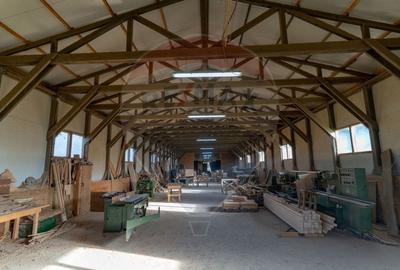 Spațiu industrial, de 650 mp, în Ribița - 5