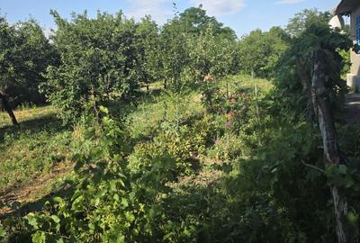 Casă cu 4 camere în Florica - 7