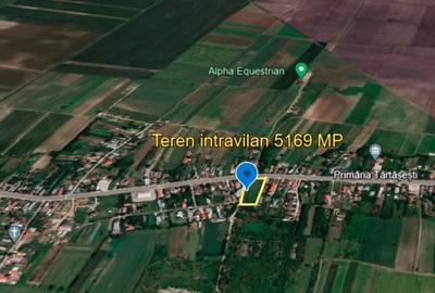 Teren Intravilan 5169 MP Tartasesti Deschidere 46 m DN7 Utilitati 2 Cai Acces - 9