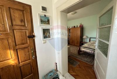 DE VANZARE- GOSPODARIE cu 95 arii teren - 6