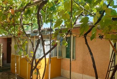 Casa 5 camere, teren 368 mp, deschidere 13 m, Brailita - 4